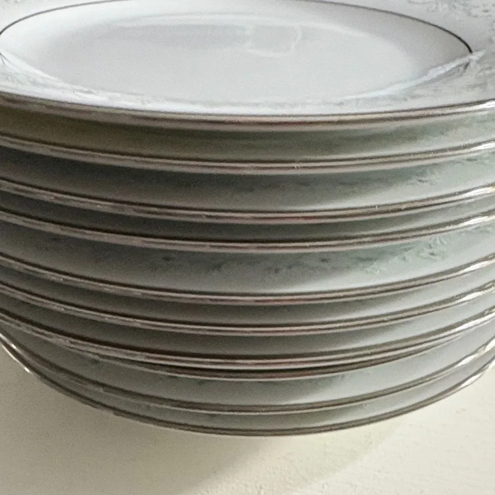 Noritake Elegant White and Gray (silver) Floral Plate set of 10
